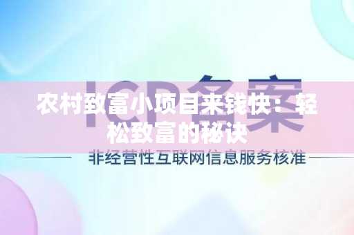 农村致富小项目来钱快：轻松致富的秘诀