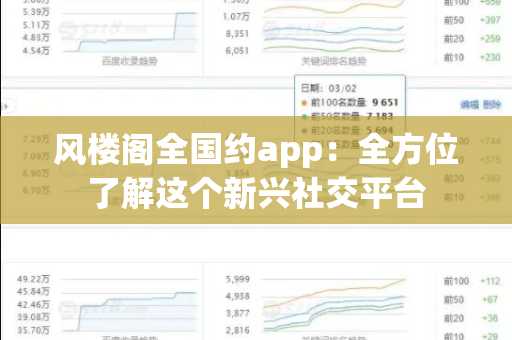 风楼阁全国约app：全方位了解这个新兴社交平台