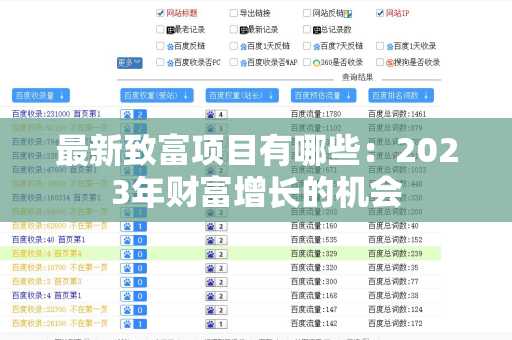 最新致富项目有哪些：2023年财富增长的机会
