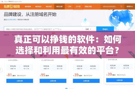 真正可以挣钱的软件：如何选择和利用最有效的平台？