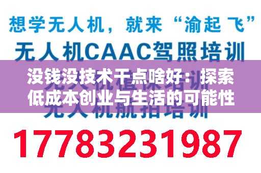 没钱没技术干点啥好：探索低成本创业与生活的可能性