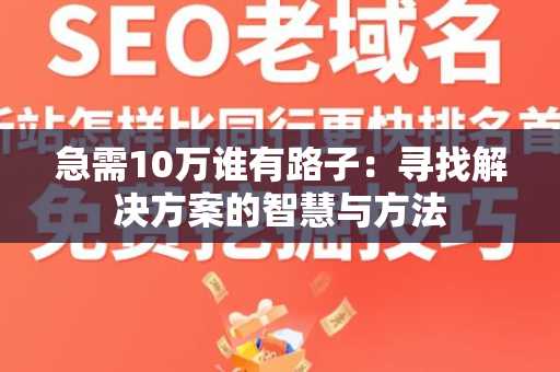 急需10万谁有路子：寻找解决方案的智慧与方法