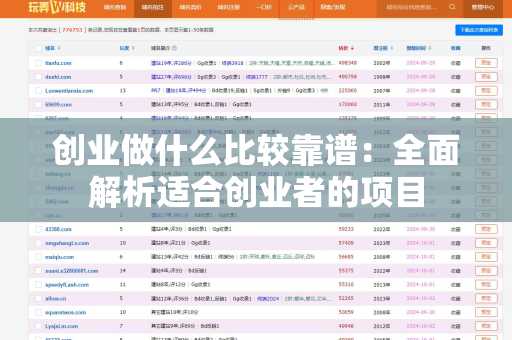 创业做什么比较靠谱：全面解析适合创业者的项目