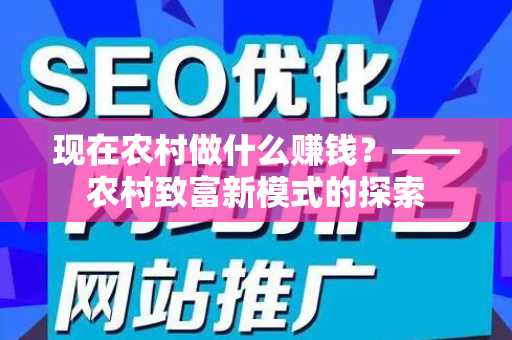 现在农村做什么赚钱？——农村致富新模式的探索