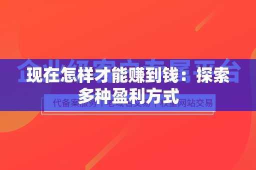 现在怎样才能赚到钱：探索多种盈利方式