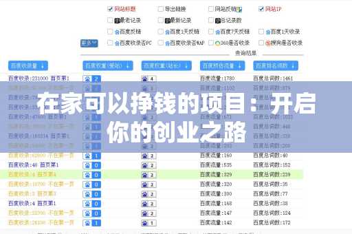 在家可以挣钱的项目：开启你的创业之路