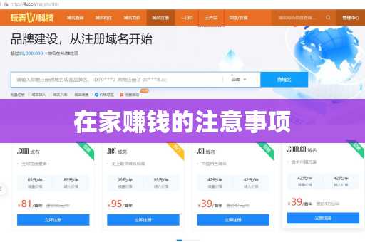 在家赚钱的注意事项
