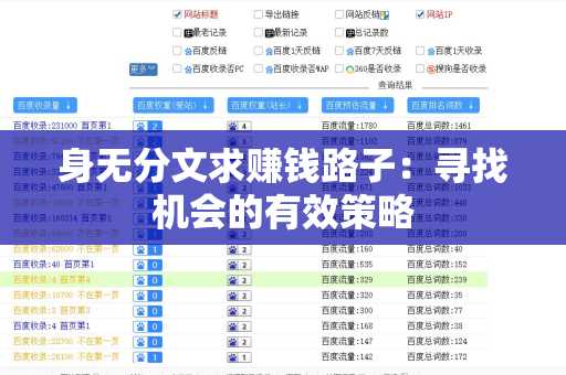 身无分文求赚钱路子：寻找机会的有效策略