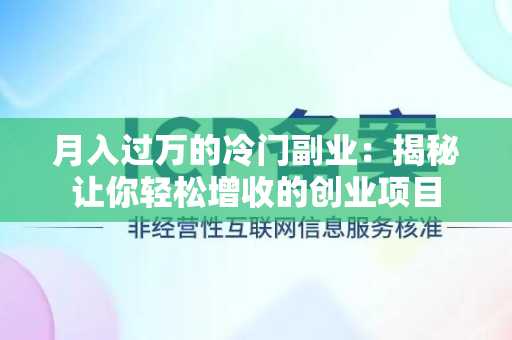 月入过万的冷门副业：揭秘让你轻松增收的创业项目