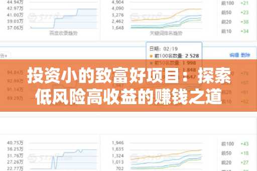 投资小的致富好项目：探索低风险高收益的赚钱之道