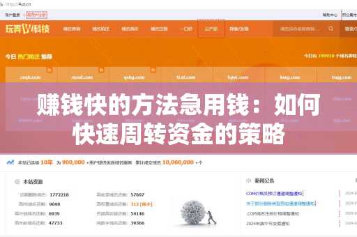赚钱快的方法急用钱：如何快速周转资金的策略