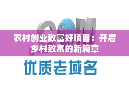 农村创业致富好项目：开启乡村致富的新篇章
