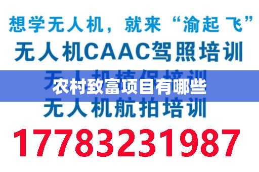 农村致富项目有哪些