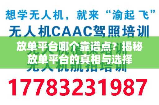 放单平台哪个靠谱点？揭秘放单平台的真相与选择