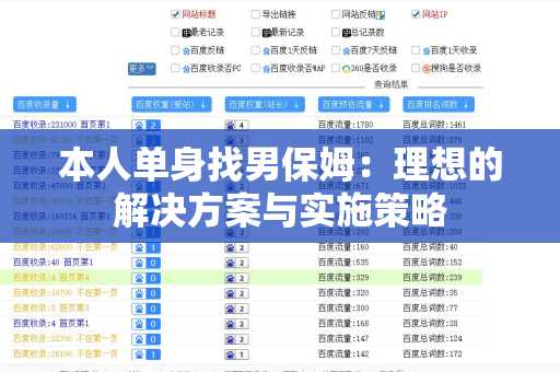 本人单身找男保姆：理想的解决方案与实施策略