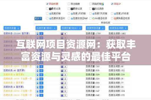 互联网项目资源网：获取丰富资源与灵感的最佳平台