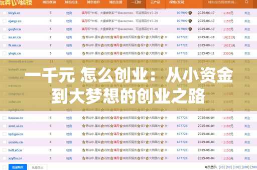 一千元 怎么创业：从小资金到大梦想的创业之路