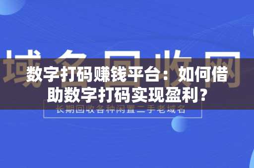 数字打码赚钱平台：如何借助数字打码实现盈利？