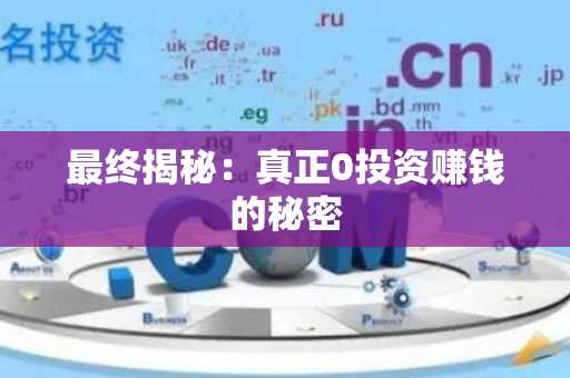 最终揭秘：真正0投资赚钱的秘密