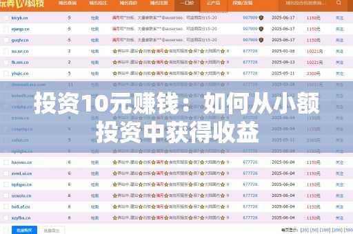 投资10元赚钱：如何从小额投资中获得收益