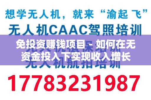 免投资赚钱项目 - 如何在无资金投入下实现收入增长