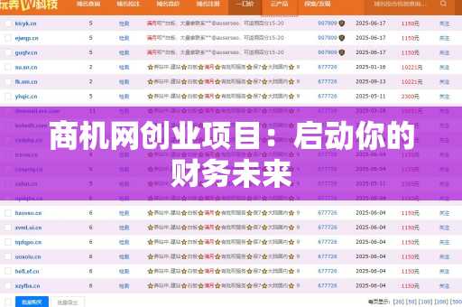商机网创业项目：启动你的财务未来