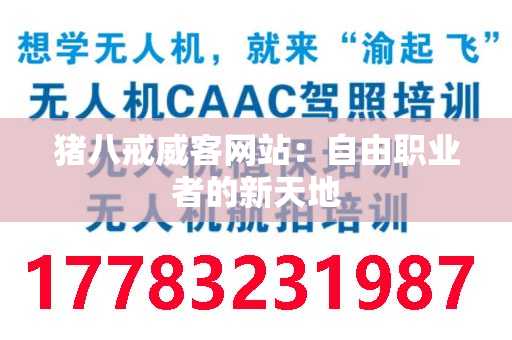 猪八戒威客网站：自由职业者的新天地