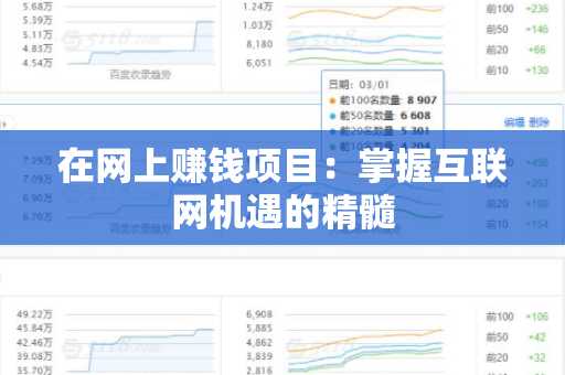 在网上赚钱项目：掌握互联网机遇的精髓
