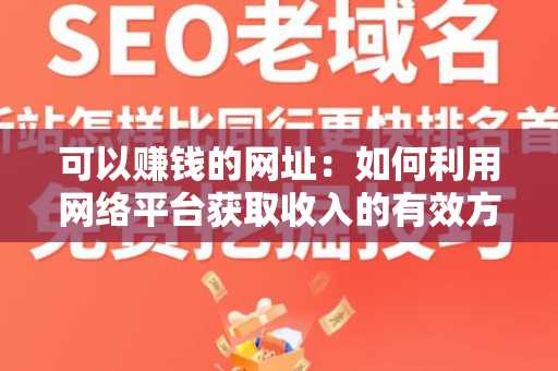 可以赚钱的网址：如何利用网络平台获取收入的有效方法