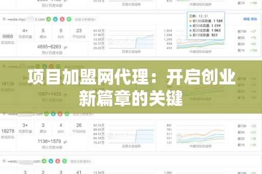 项目加盟网代理：开启创业新篇章的关键
