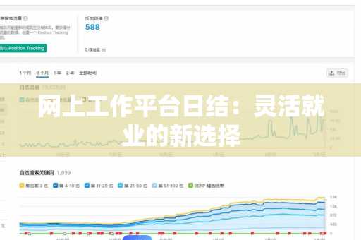 网上工作平台日结：灵活就业的新选择