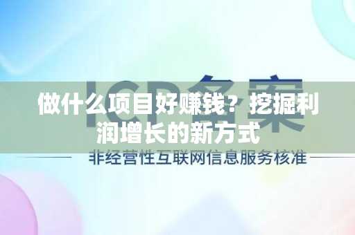 做什么项目好赚钱？挖掘利润增长的新方式