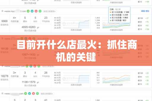 目前开什么店最火：抓住商机的关键