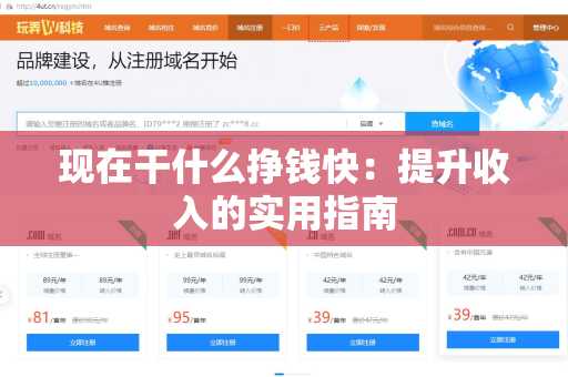 现在干什么挣钱快：提升收入的实用指南