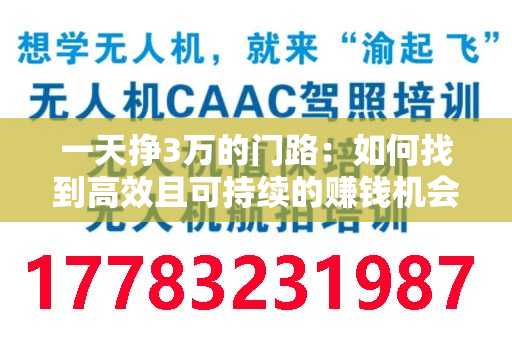 一天挣3万的门路：如何找到高效且可持续的赚钱机会