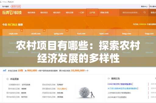 农村项目有哪些：探索农村经济发展的多样性