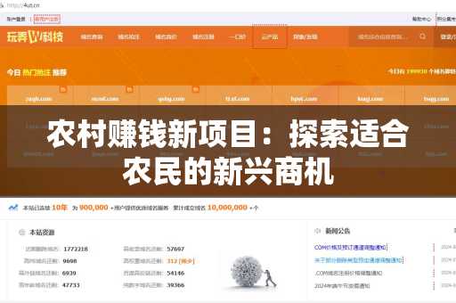 农村赚钱新项目：探索适合农民的新兴商机